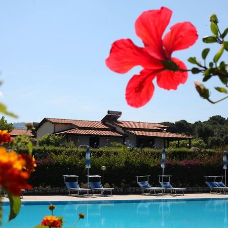 Agriturismo Ninea Ricadi Extérieur photo