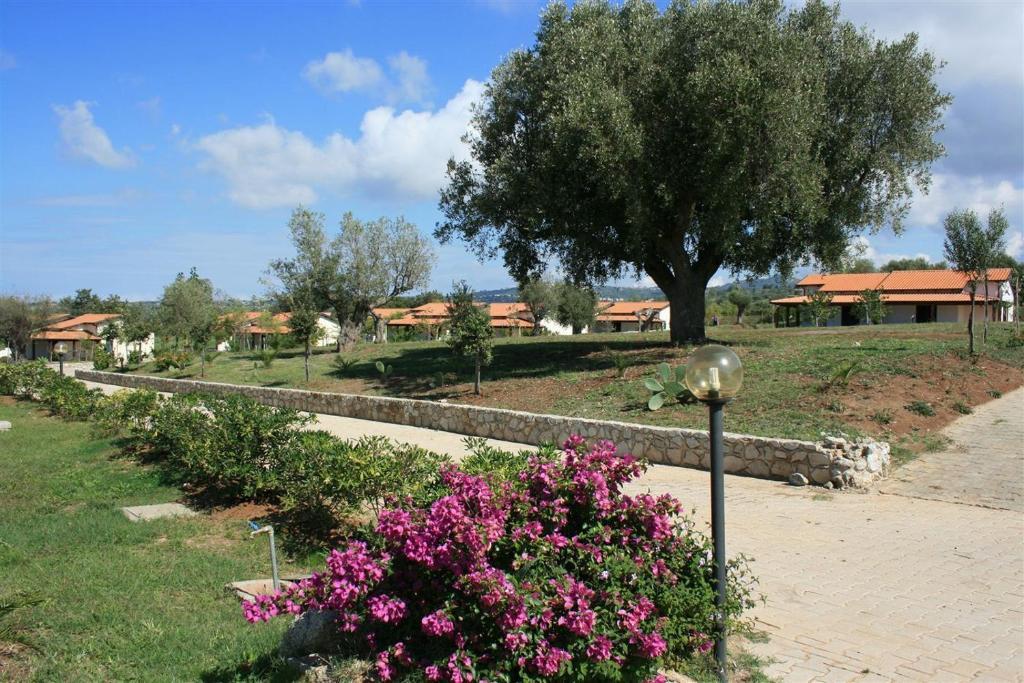 Agriturismo Ninea Ricadi Extérieur photo