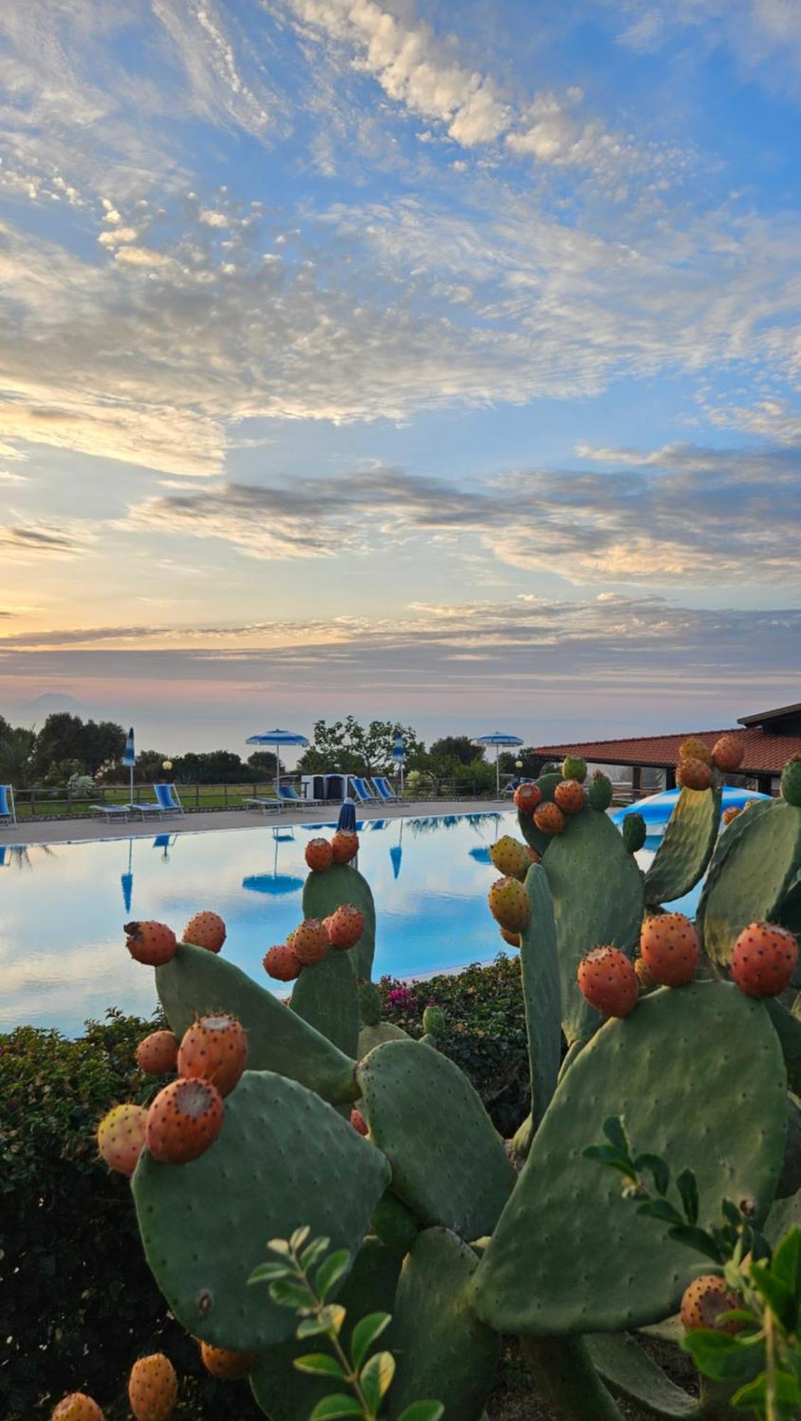 Agriturismo Ninea Ricadi Extérieur photo
