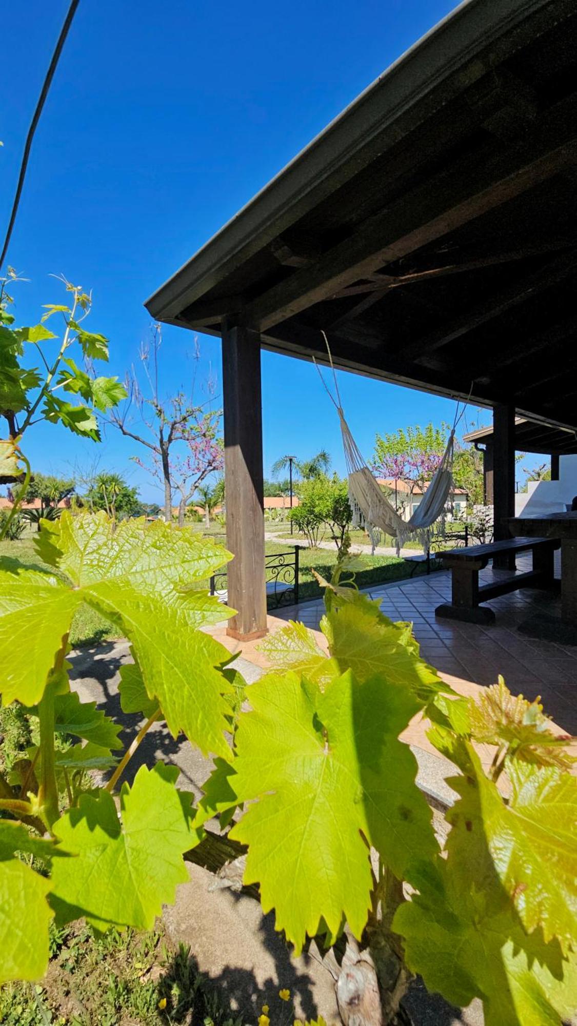 Agriturismo Ninea Ricadi Extérieur photo
